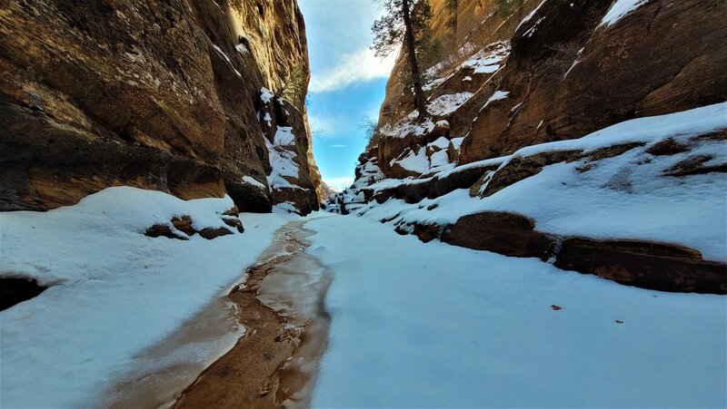 View from the trail.