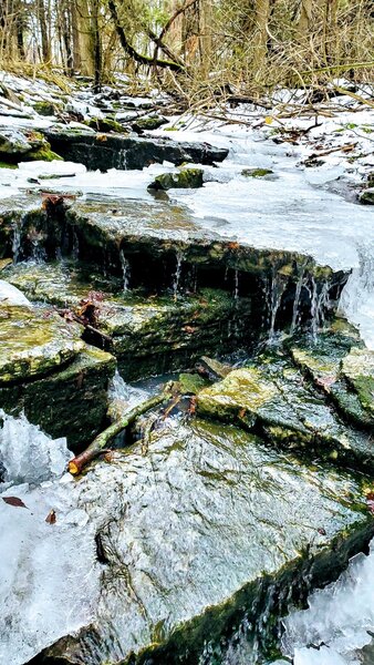 Midwinter runoff