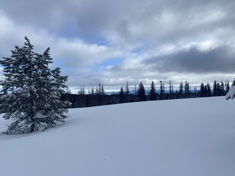 View towards distant Wallowa Mountains from Prairie Loop Trail.