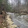 On the bank of Raccoon Creek