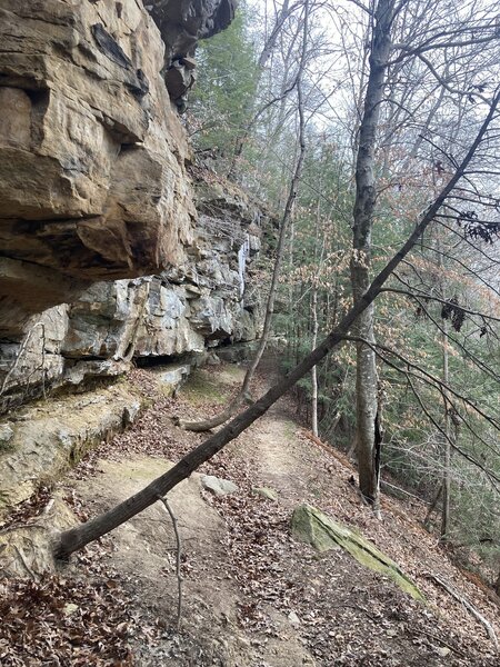 Cliffs along Green's Bluff