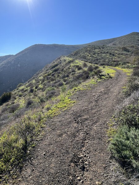 Going towards Mugu Peak