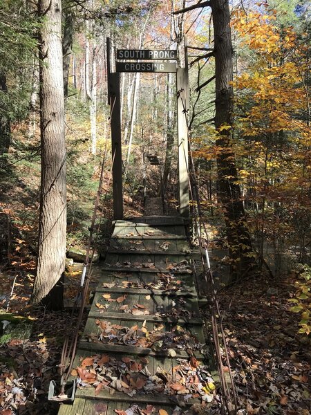 One of two old swinging bridges over Lost Land Run built by the CCC.