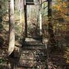 One of two old swinging bridges over Lost Land Run built by the CCC.