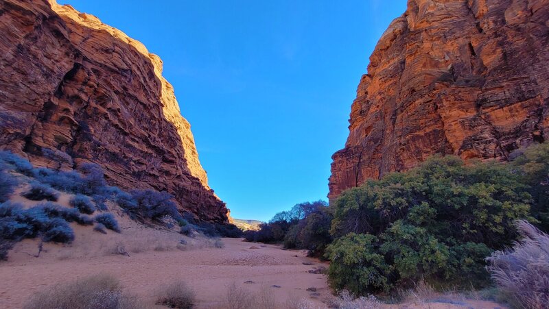 View from the trail