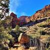 View from the trail