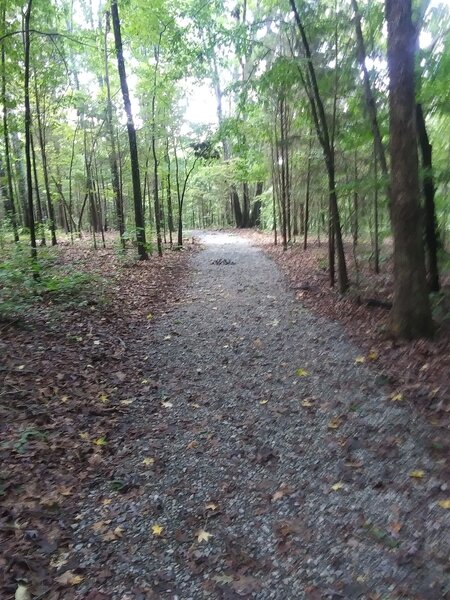 Looking down the Trail.