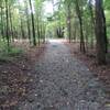 Looking down the Trail.