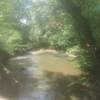 Fishing Creek from a Bridge