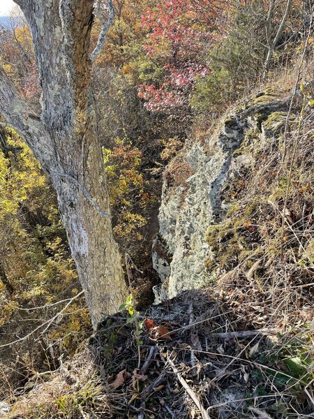 Nearing the summit of White Rock Mountain