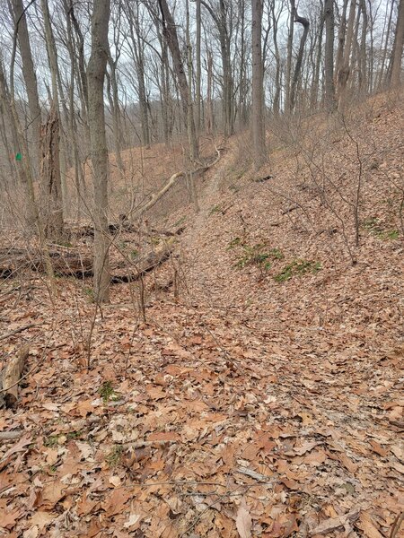 Trail climbing in the CCW direction of the loop