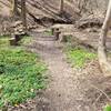 An attractive and welcoming path along the stream