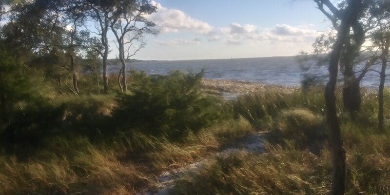 View of the Cape Fear River.