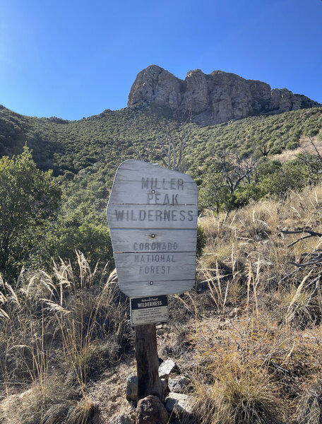 Photo at the edge of Miller Peak Wilderness coming from Carr Canyon.