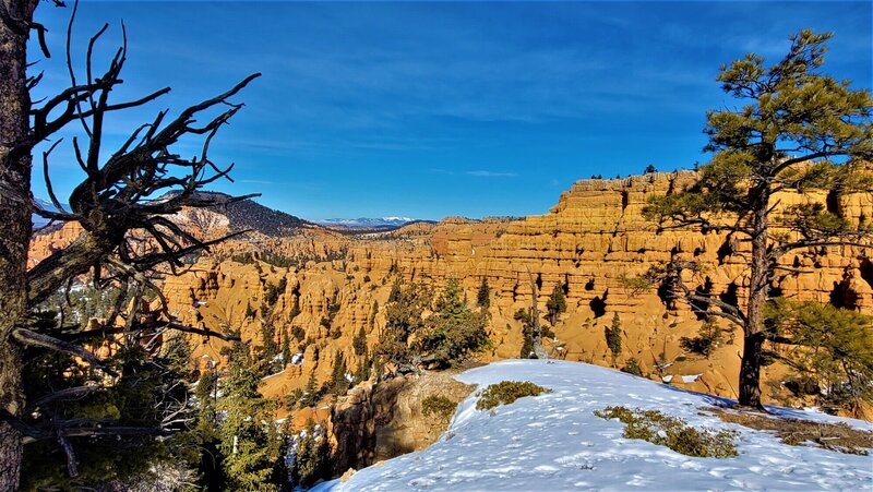 View from the trail