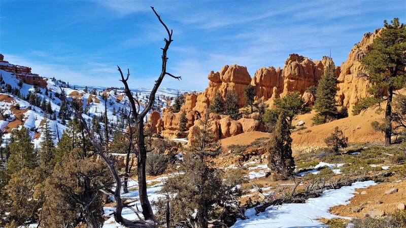 View from the trail