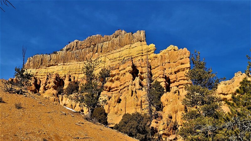 View from the trail