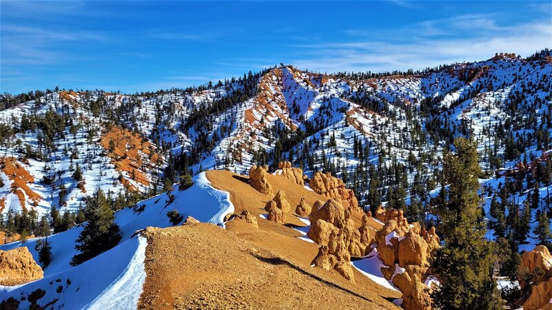 View from the trail