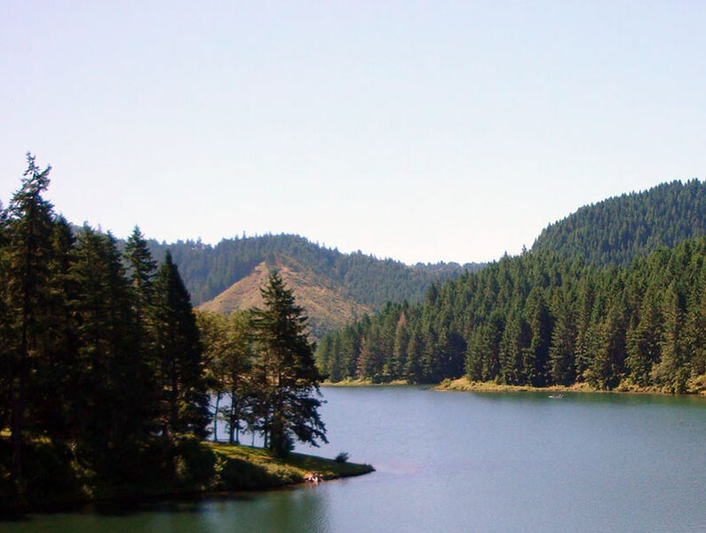 View of Cooper Creek Reservoir.