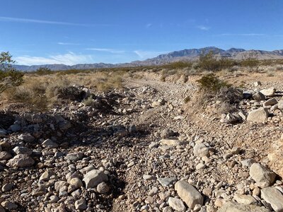 Tough part of the "trail".