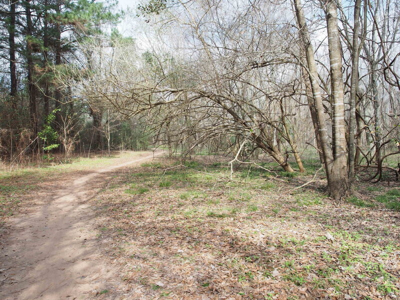 This is one of the older doubletrack sections of trail at Cullinan. Most of the new trail is singletrack.