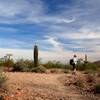 On the Littleleaf Trail