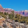 View from the trail