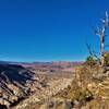 View from the trail