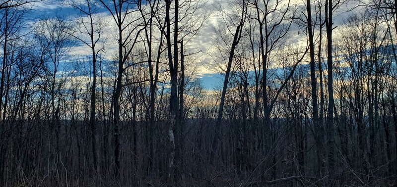 Hilltop view looking south through trees in winter.