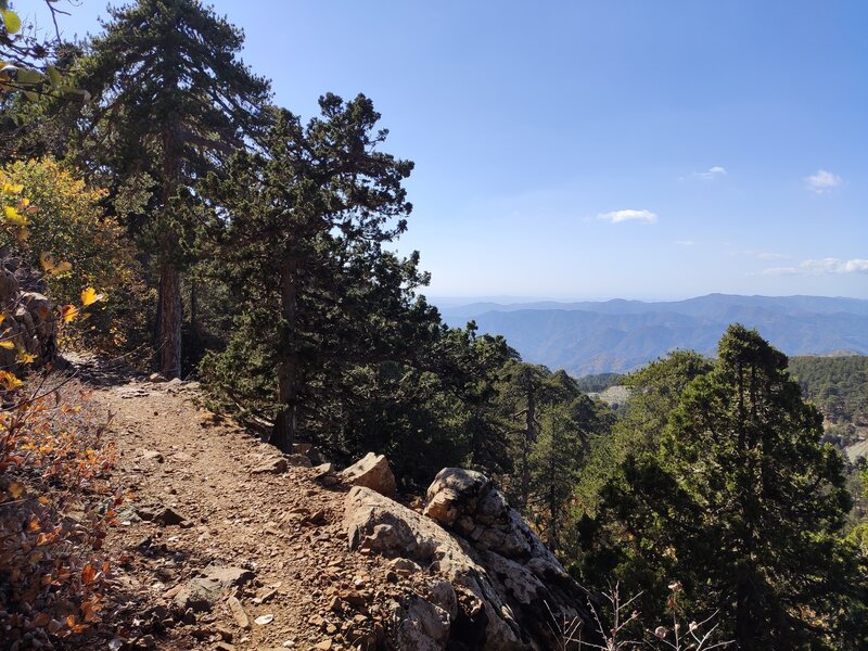 Mountain views