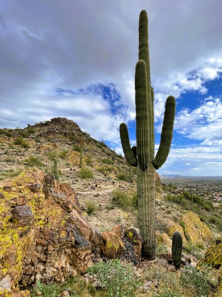 On the easier part of the trail loop.