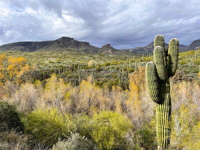 Really enjoyed mountains in background.