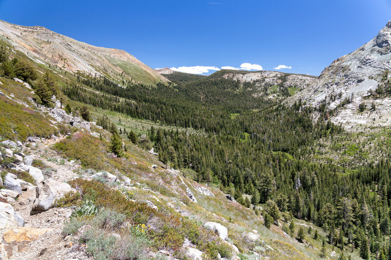 Upper Summit City Creek Canyon