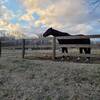 Horse pasture adjacent to south part of trail.