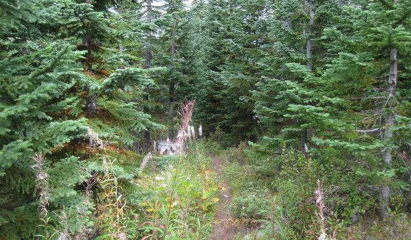 Heading up the BOTW trail in September of 2015