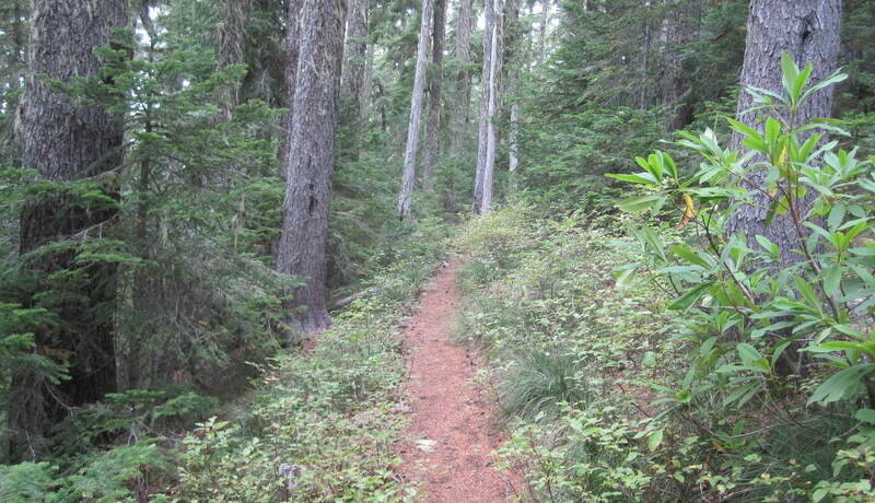 BOTW trail