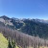 In the old burn zone, looking towards Anderson Peak.