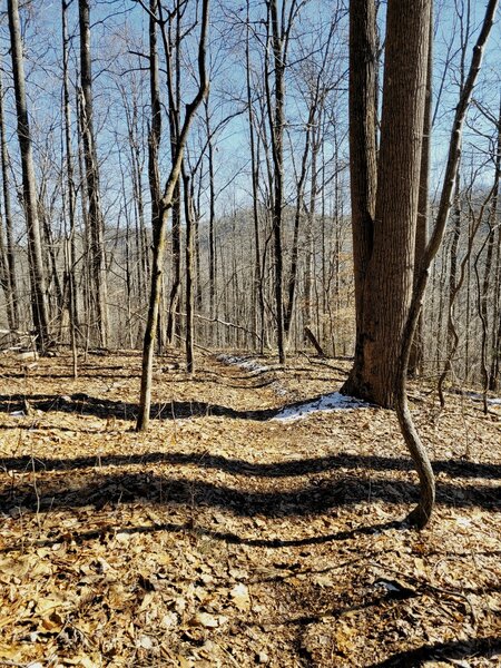 View of top of Gorge from Bluff Trail, views are ok, best during winter. With leaves there would not be much visibleble.