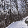 Looking South on the White Trail.