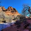 View from the trail