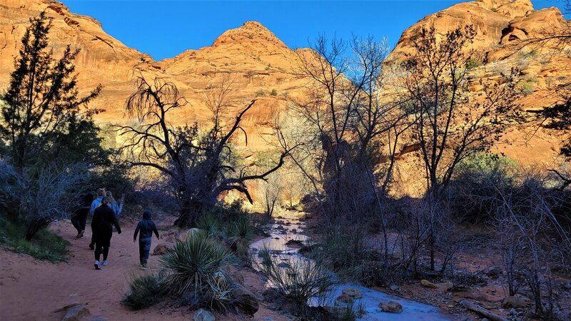 View from the trail