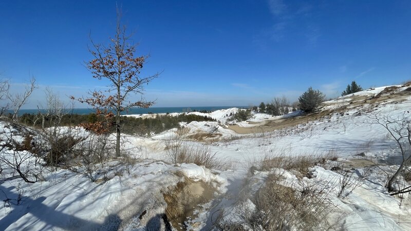 Overlooking Lake Michigan from atop the Dunes Succession Trail.