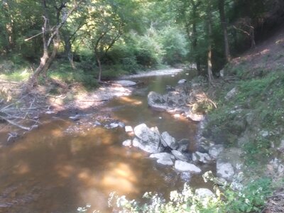 Looking Down stream.