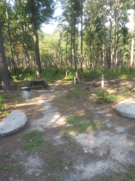 Trailhead at Ranger Station.