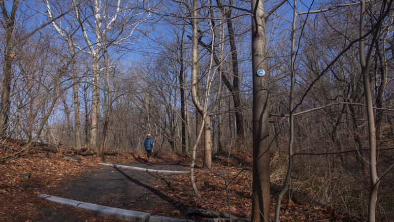 First steps of the trail.