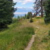 Sweeping views from the Bartlett Trail.