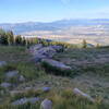 View along the Greenhorn Trail.