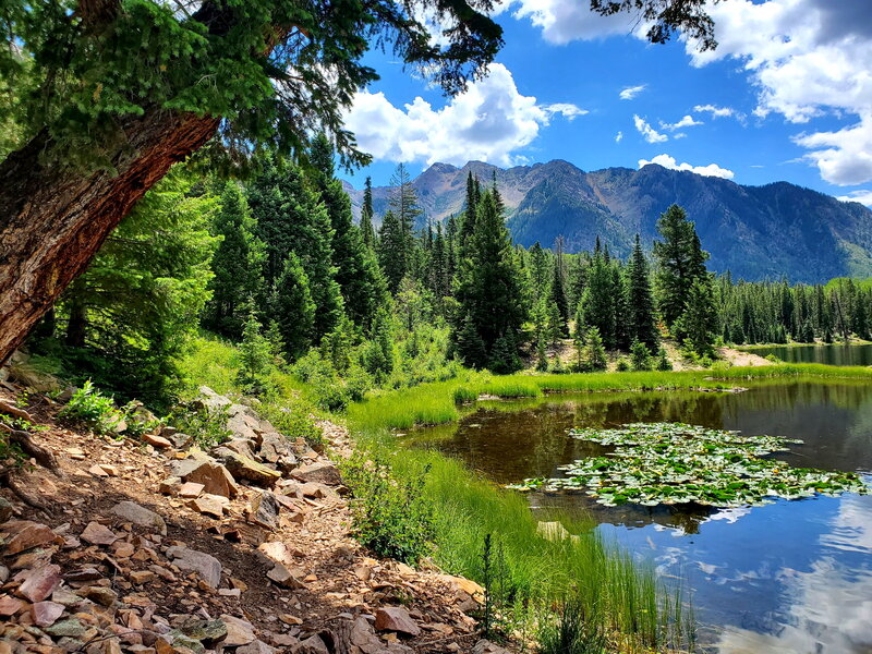 Potato Lake, on the foothills of the San Juan Mountains