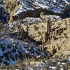 Hoodoos in the valley below the trail.