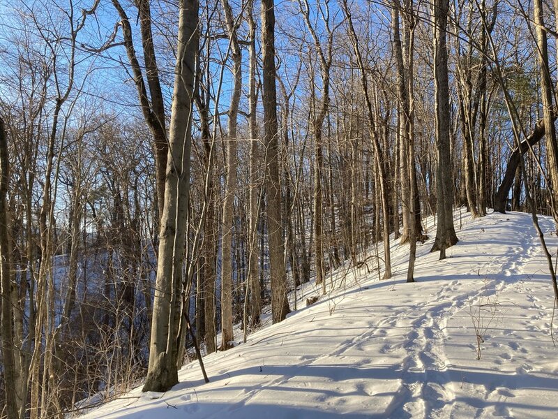 The approach to the hilltop of Summit Trail in February. The trail is visible in the foreground and on the ridge at left.